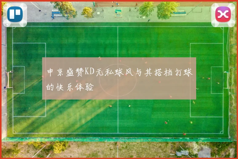申京盛赞KD无私球风与其搭档打球的快乐体验