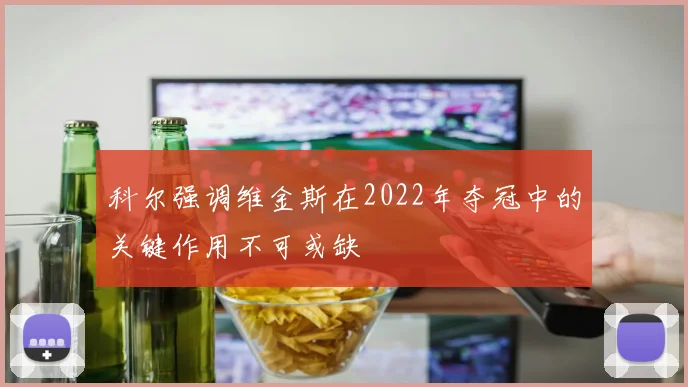 科尔强调维金斯在2022年夺冠中的关键作用不可或缺