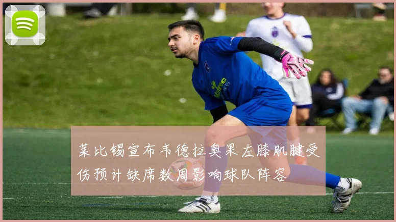 莱比锡宣布韦德拉奥果左膝肌腱受伤预计缺席数周影响球队阵容